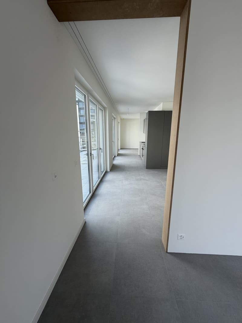 Moderne Neubau-3-Zimmerwohnung mit grosser Terrasse - Erstbezug - Langstrasse / Europaallee, Zuerich (8)