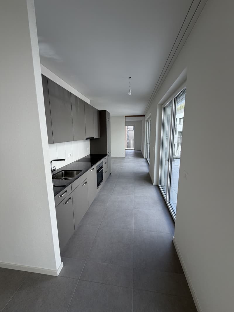 Moderne Neubau-3-Zimmerwohnung mit grosser Terrasse - Erstbezug - Langstrasse / Europaallee, Zuerich (3)