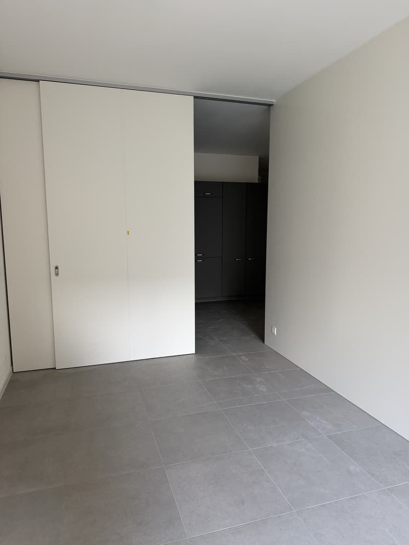 Drei moderne Neubau-2-Zimmerwohnungen - Erstbezug - Langstrasse / Europaallee, nahe Hauptbahnhof Zuerich (4)
