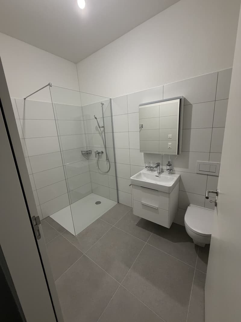 Drei moderne Neubau-2-Zimmerwohnungen - Erstbezug - Langstrasse / Europaallee, nahe Hauptbahnhof Zuerich (9)