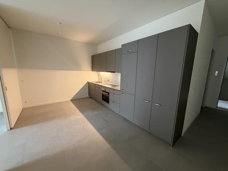 Drei moderne Neubau-2-Zimmerwohnungen - Erstbezug - Langstrasse / Europaallee, nahe Hauptbahnhof Zuerich (8)