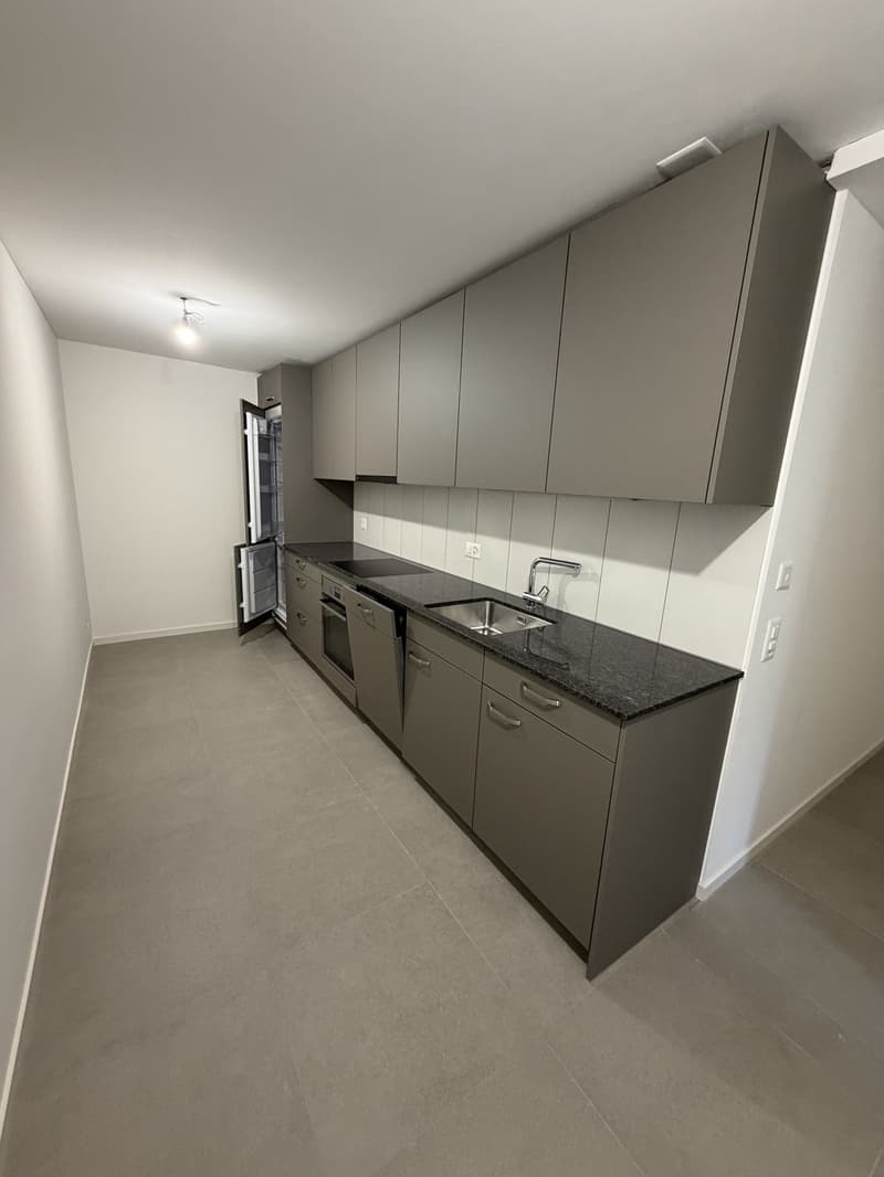 Vier neu sanierte Wohnungen - Langstrasse / Europaallee, nahe Hauptbahnhof Zuerich (4)