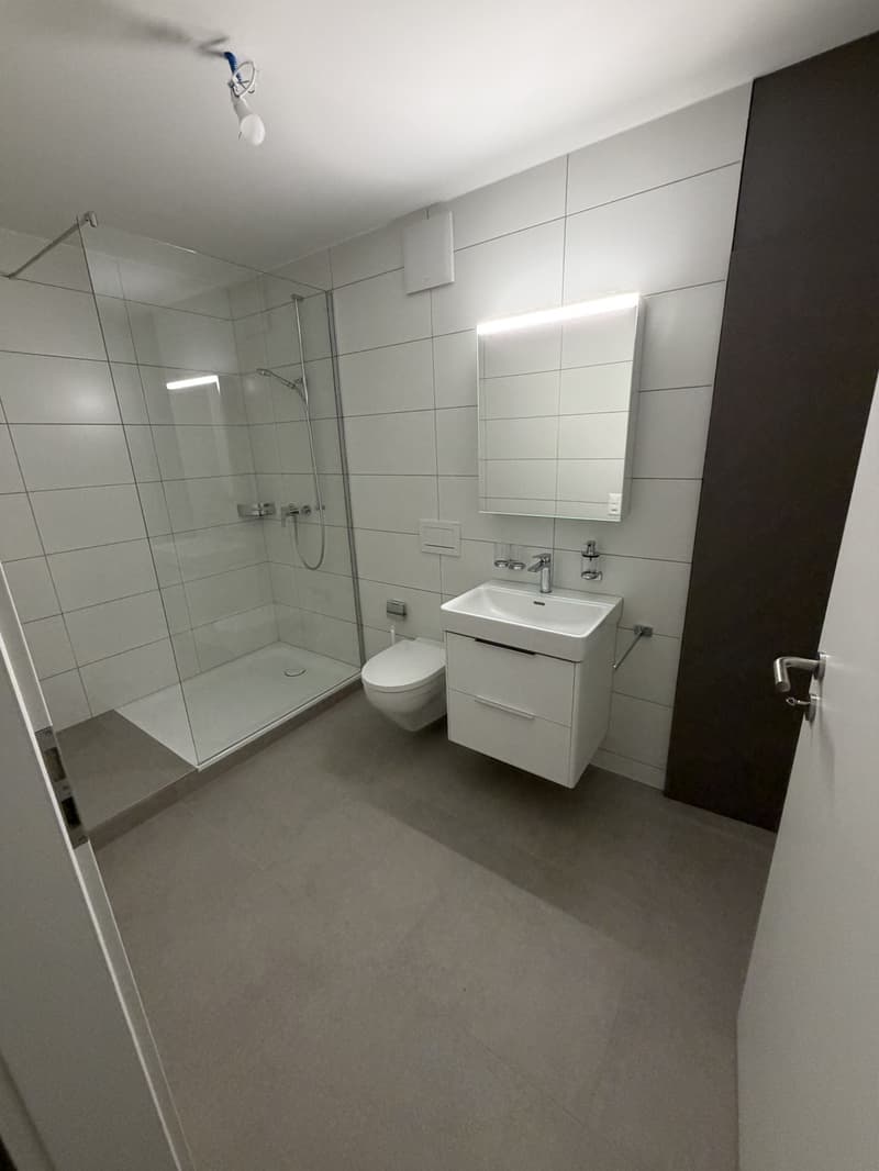 Vier neu sanierte Wohnungen - Langstrasse / Europaallee, nahe Hauptbahnhof Zuerich (7)