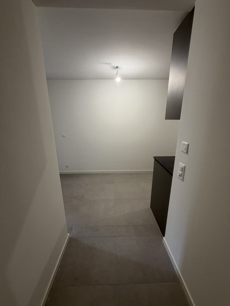 Vier neu sanierte Wohnungen - Langstrasse / Europaallee, nahe Hauptbahnhof Zuerich (5)