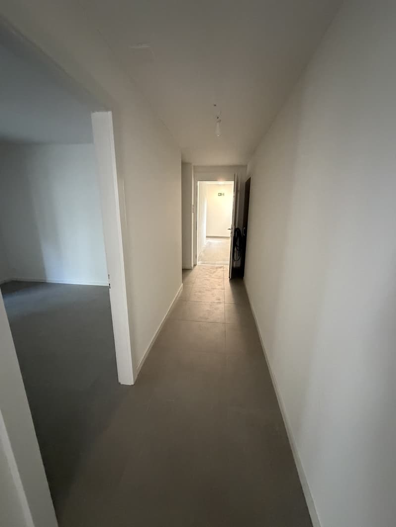 Vier neu sanierte Wohnungen - Langstrasse / Europaallee, nahe Hauptbahnhof Zuerich (2)