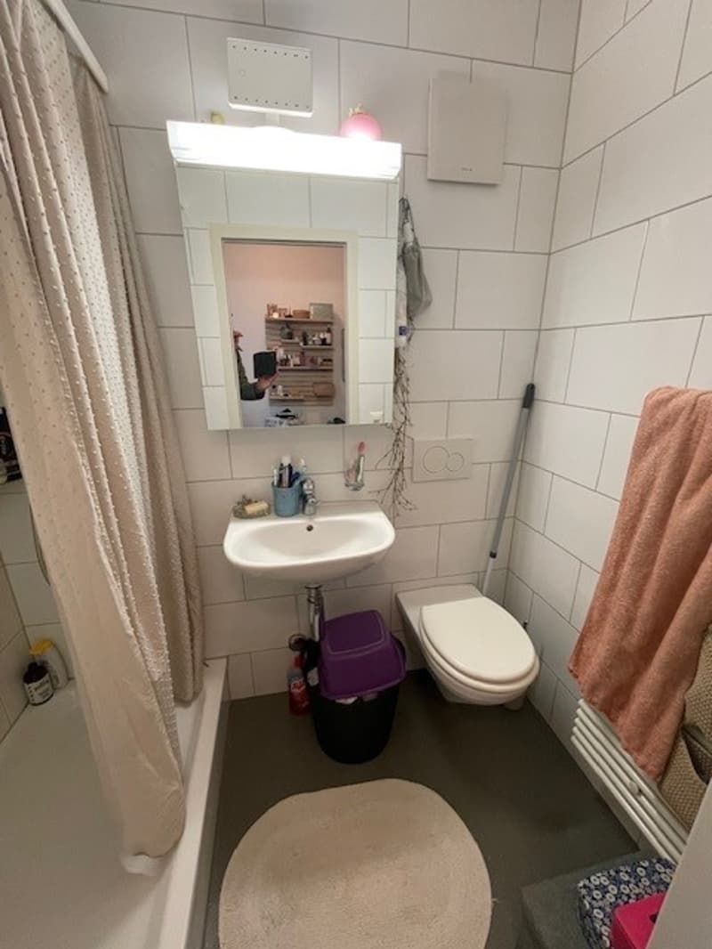 1 Zimmer Wohnung zu vermieten (6)
