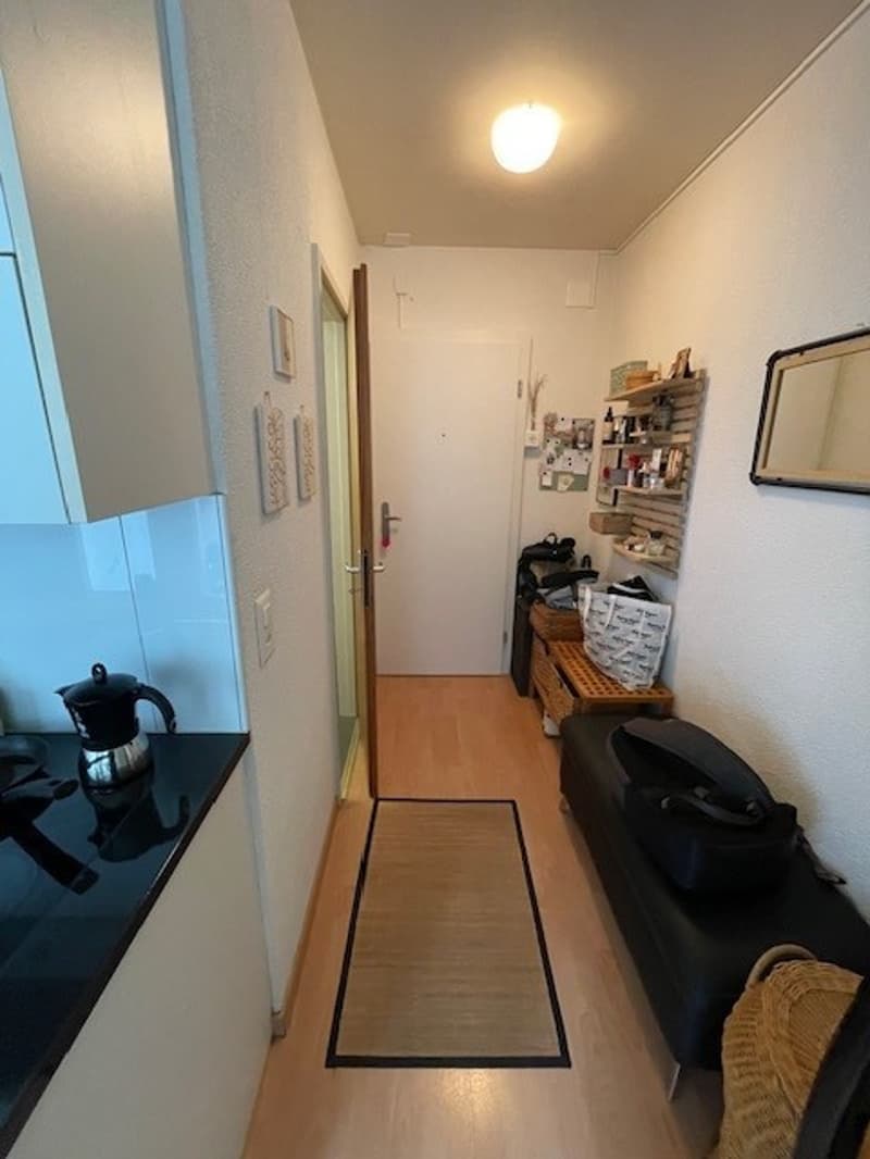 1 Zimmer Wohnung zu vermieten (4)
