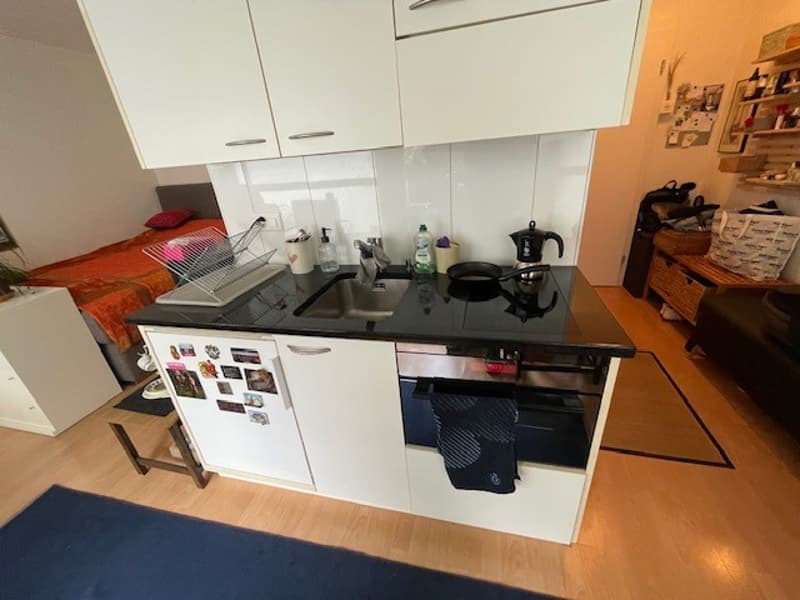 1 Zimmer Wohnung zu vermieten (3)