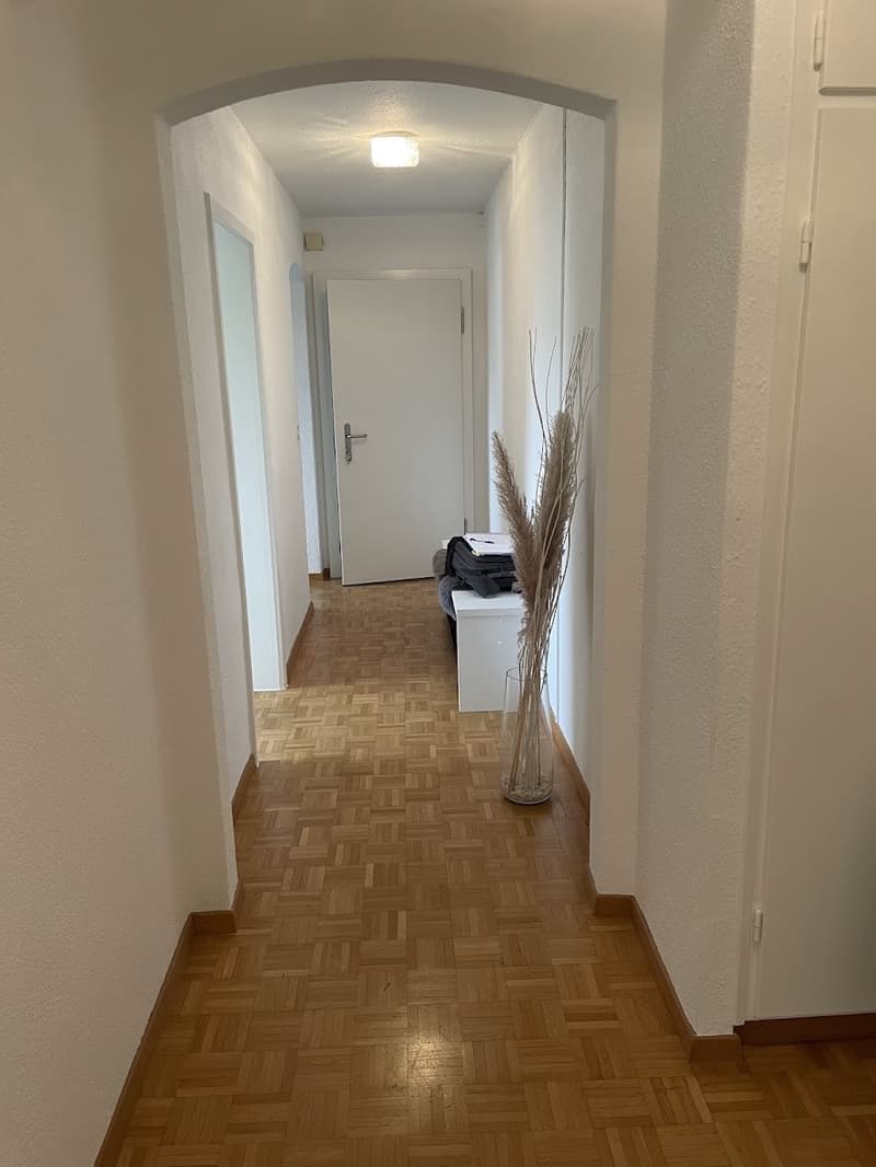 sehr schöne, ruhige und moderne 4 Zimmer Wohnung zu vermieten (6)