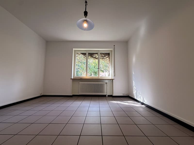 Frisch renovierte 4½-Zimmer-Wohnung mit Garten und Wintergarten  hohe, helle Räume (7)
