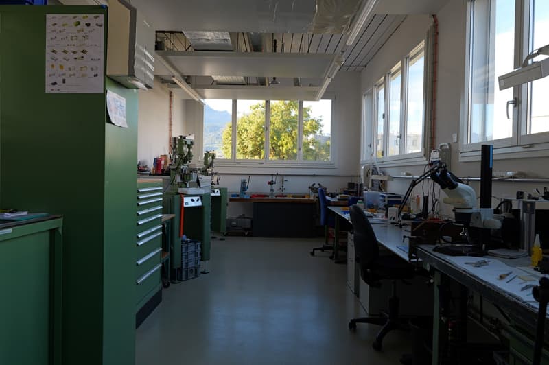 Gewerbe- & Büroflächen an Toplage in Luzern (4)