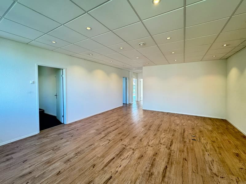Helle und moderne Büro-/Gewerberäumlichkeiten an bester Lage in Urdorf (3)