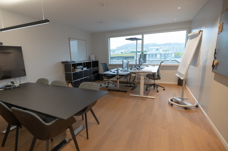 Gewerbe- & Büroflächen an Toplage in Luzern (10)