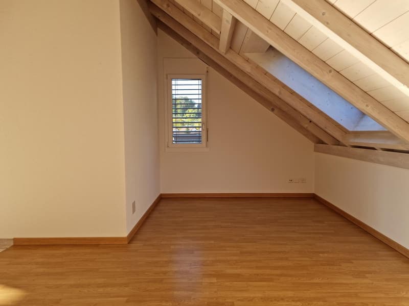 Wohnung direkt an der Emme (4)
