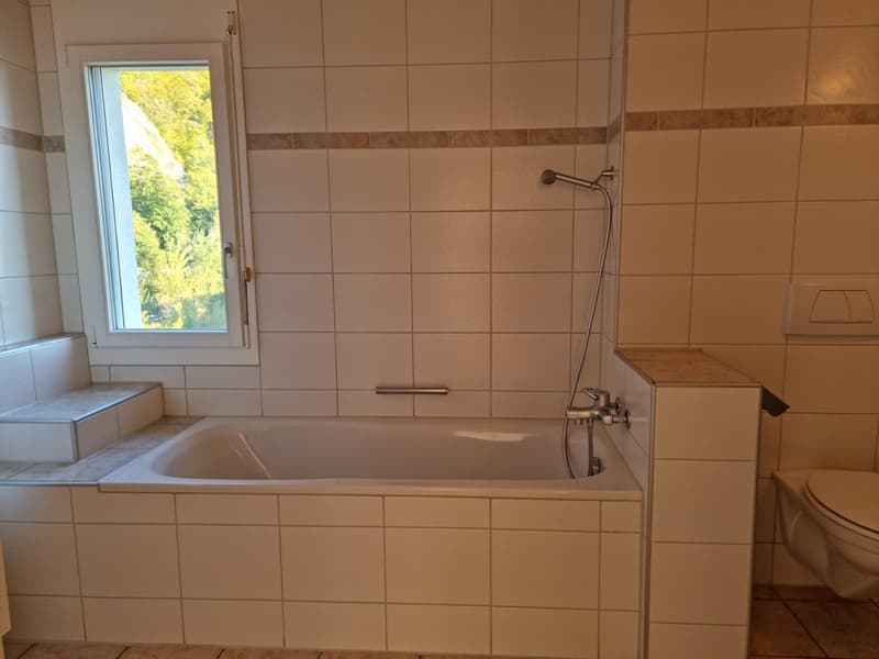 Wohnung direkt an der Emme (6)