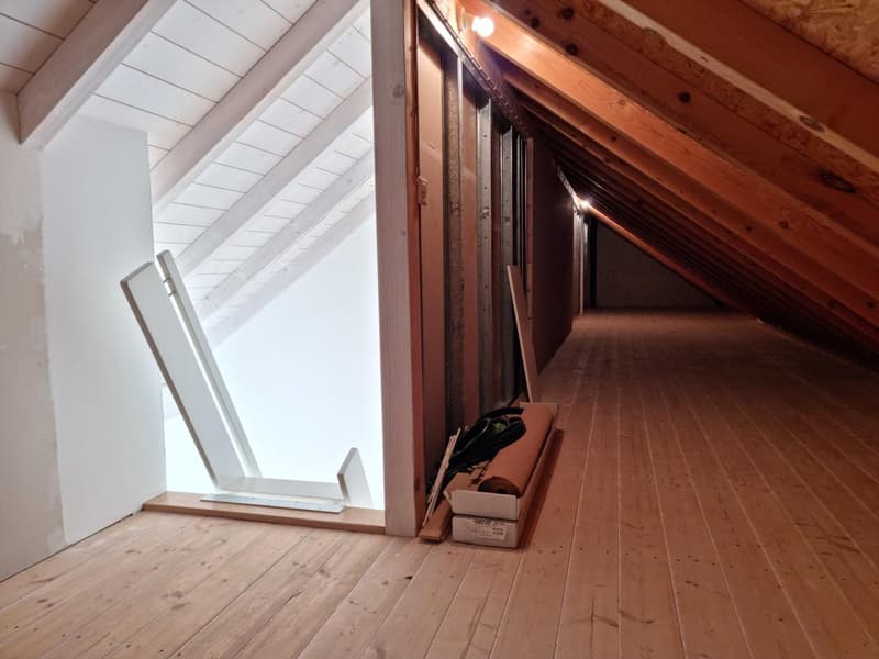 Wohnung direkt an der Emme (7)