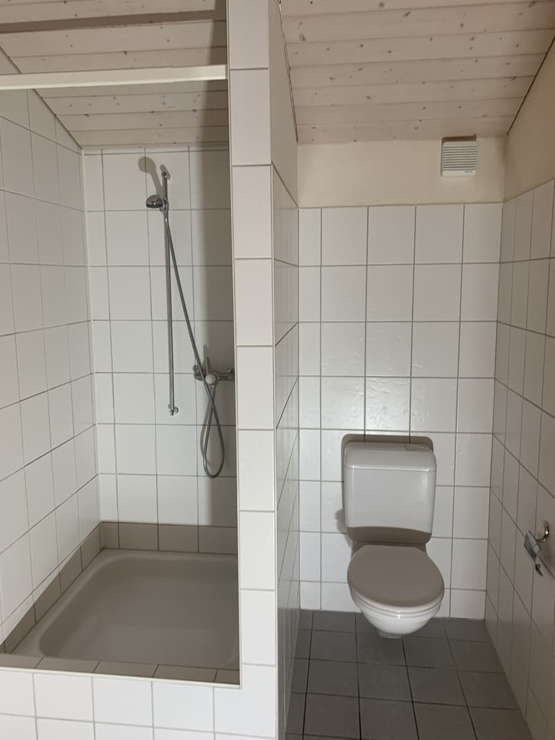Schöne grosse Wohnung auf dem Lande (10)