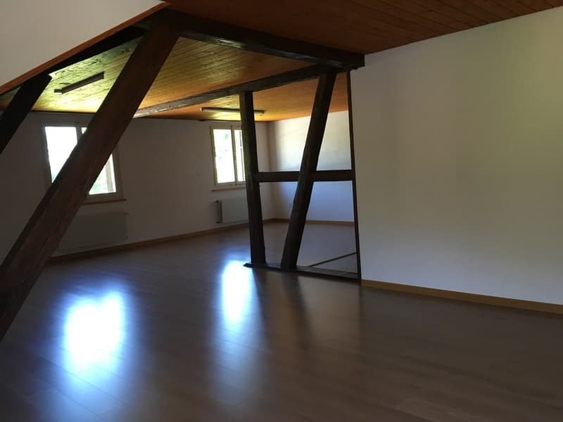 Gemütlliche 4 1/2 Zi. Wohnung neben Landwirtschaftswiese (8)