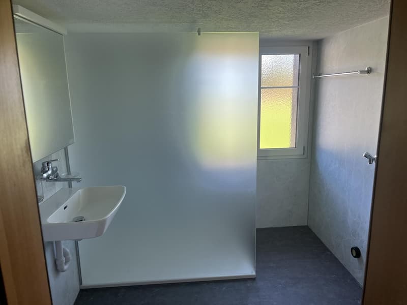 Gemütlliche 4 1/2 Zi. Wohnung neben Landwirtschaftswiese (5)