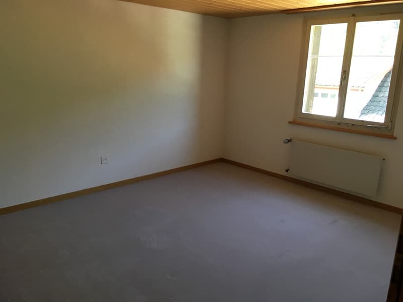 Gemütlliche 4 1/2 Zi. Wohnung neben Landwirtschaftswiese (7)