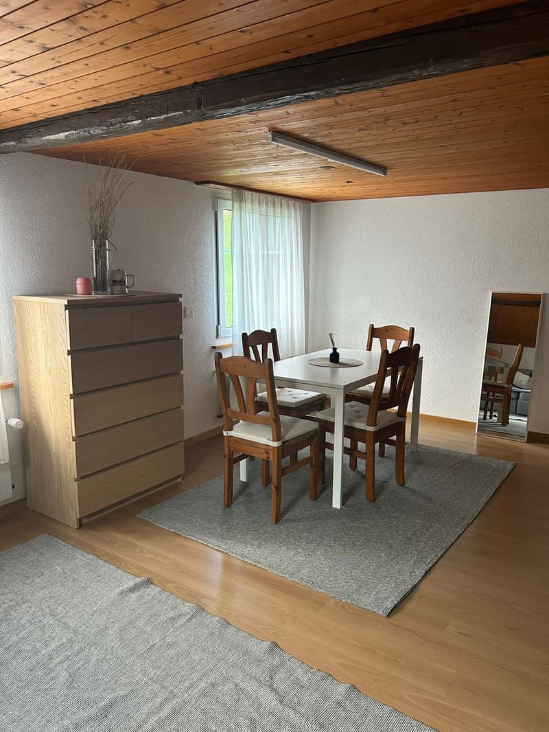 Gemütlliche 4 1/2 Zi. Wohnung neben Landwirtschaftswiese (2)