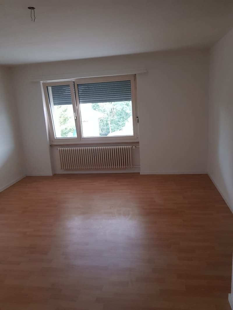 Charmant, heimelig und günstig! (3)