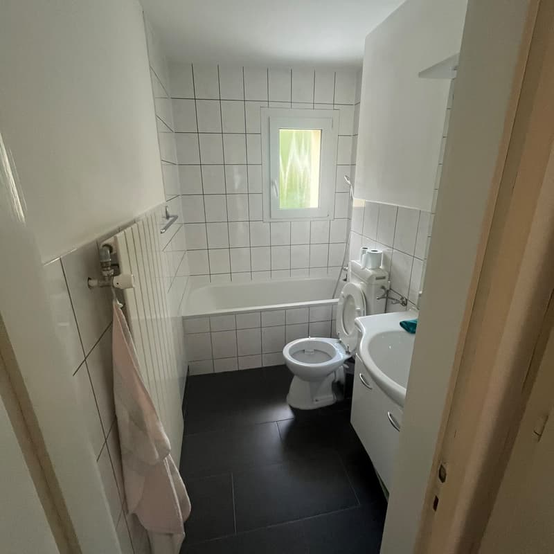 Schöne Wohnung (4)