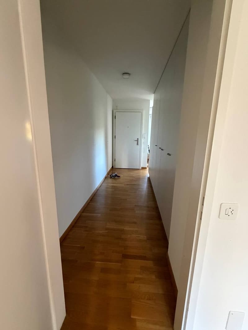 Spacious 4.5 apartment with private exit to garden in Zollikerberg (11)