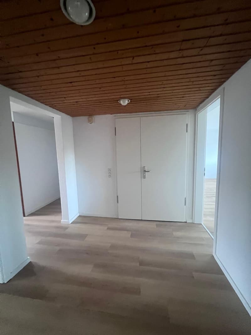3.5-Zimmerwohnung an zentraler Lage in Hägendorf (9)