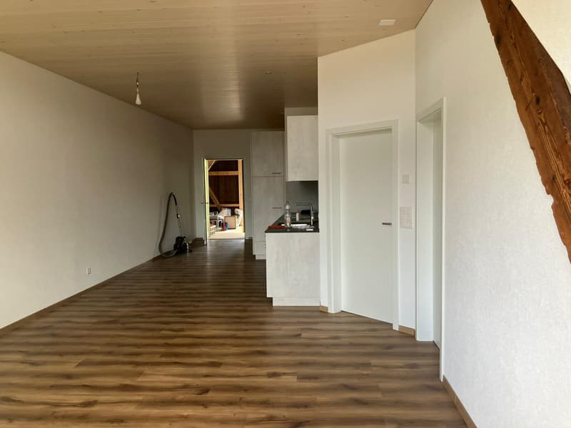 Helle 2.5 Zimmer Wohnung in einem Bauernhaus (1)