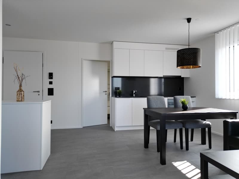 möblierte Wohnung inkl. aller Kosten in Aarau Rohr zu vermieten (5)