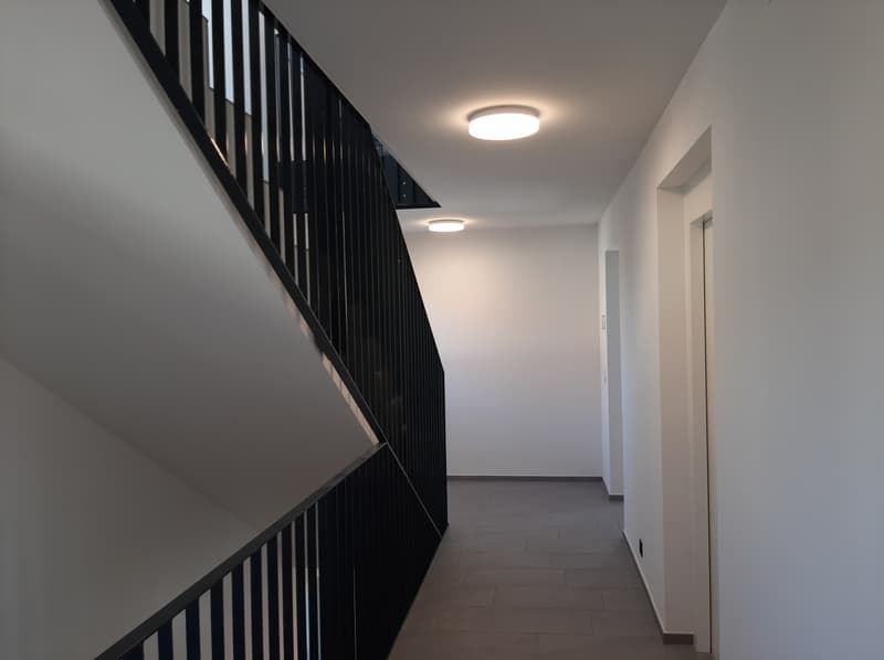 möblierte Wohnung inkl. aller Kosten in Aarau Rohr zu vermieten (6)