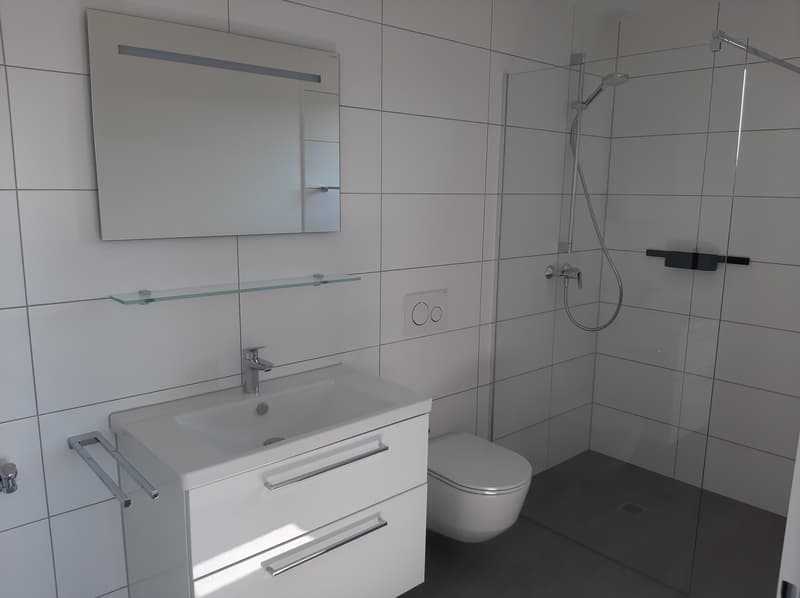 möblierte Wohnung inkl. aller Kosten in Aarau Rohr zu vermieten (4)