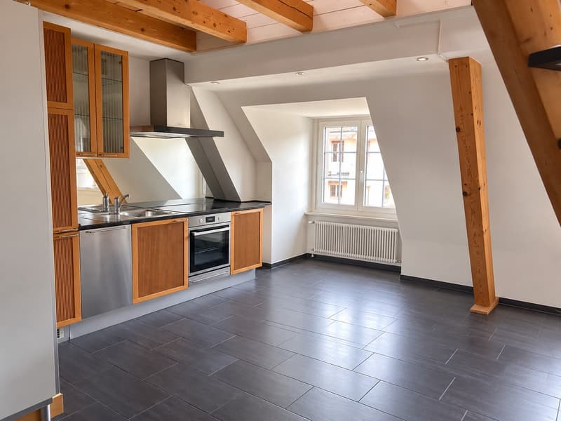 Grosszügige Dachwohnung mit privater Dachterrasse im Breitenrain (1)