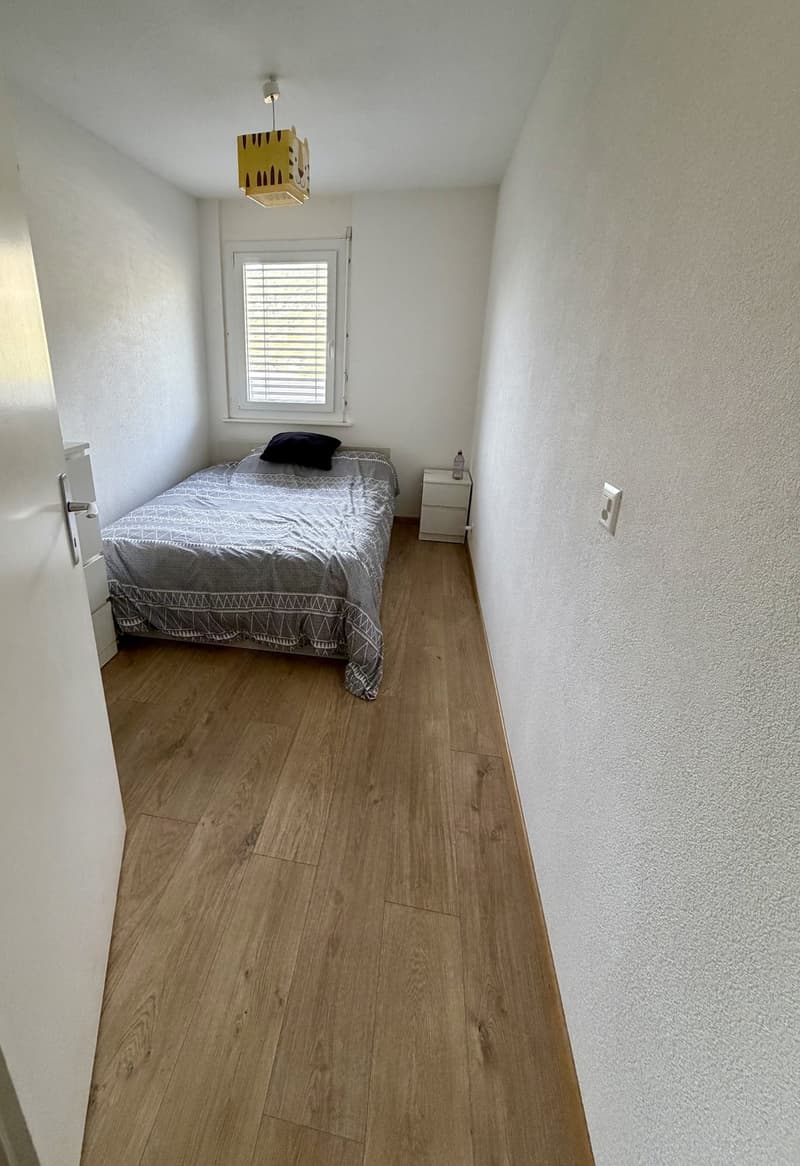 4.5 pièces rénové au 8e étage avec vue et balcons disponible dès le 01.02.2027 (7)