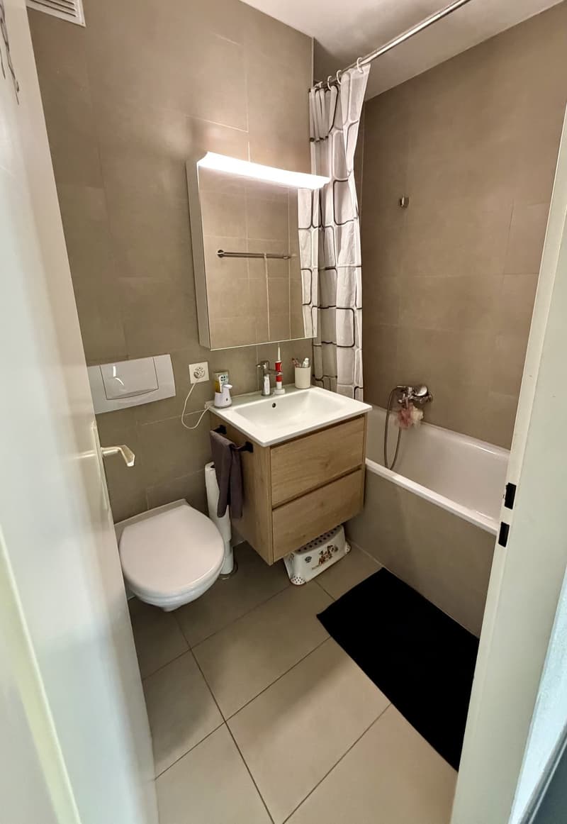 4.5 pièces rénové au 8e étage avec vue et balcons disponible dès le 01.02.2027 (8)