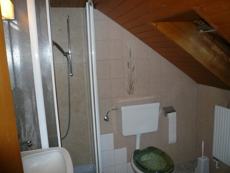 Spacious multi-family house with 4 apartments in Aarwangen (11)