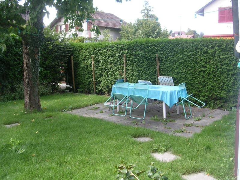 Beautiful 3-room ground floor apartment in Biberist (4)