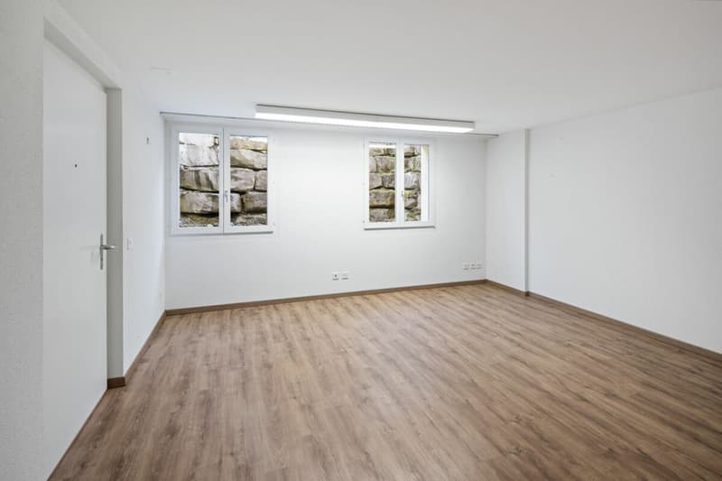 Appartement-maisonnette 4,5 pièces avec vue sur les Alpes et bureau/loisirs séparé (13)
