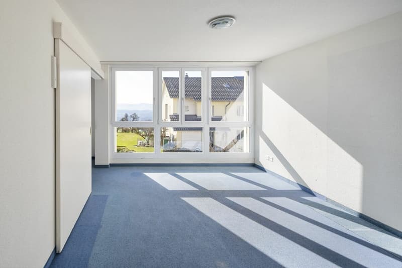 Appartement-maisonnette 4,5 pièces avec vue sur les Alpes et bureau/loisirs séparé (9)