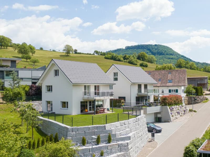 Dream Home in Zeihen: Family Paradise with Panoramic View (1)
