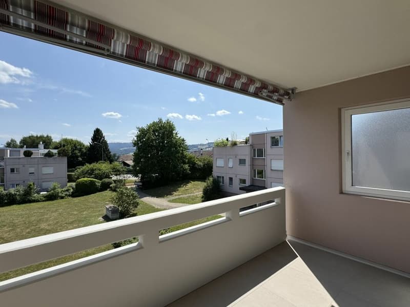 Appartement de 4 pièces rénové avec balcon sud et parking souterrain à Greifensee (2)
