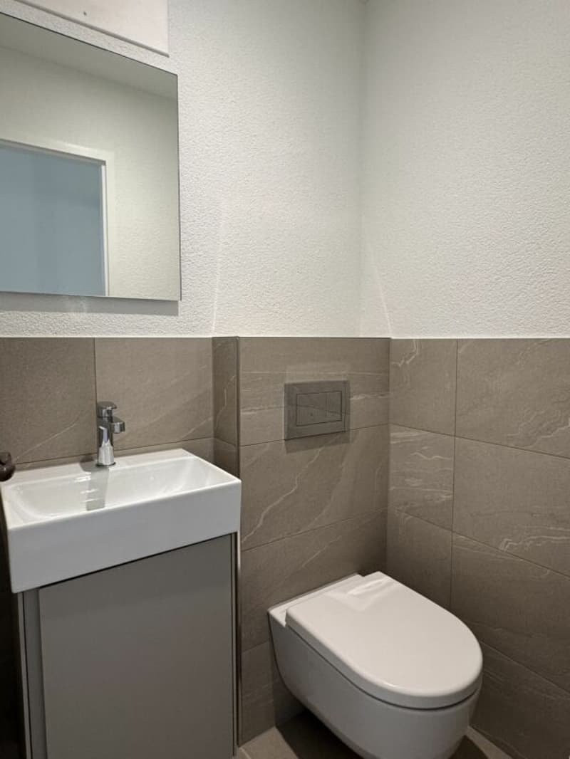 Appartement de 4 pièces rénové avec balcon sud et parking souterrain à Greifensee (9)