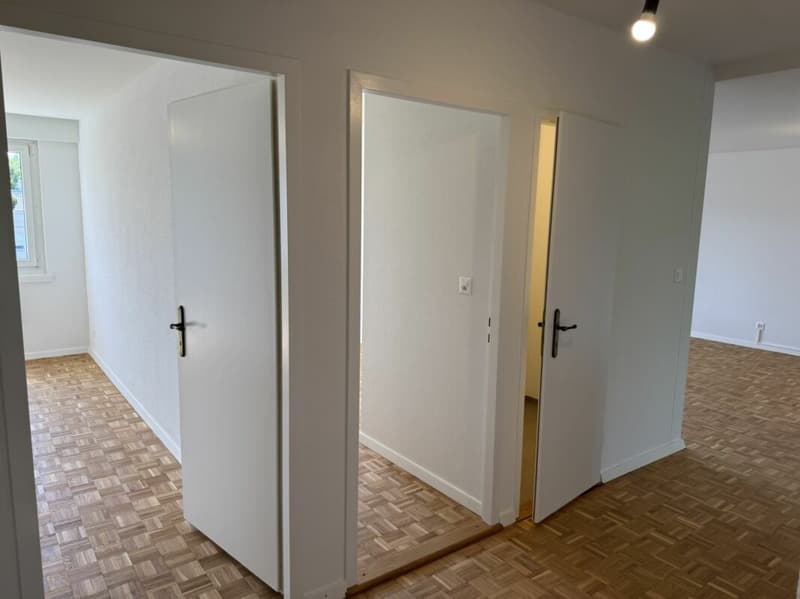 Appartement de 4 pièces rénové avec balcon sud et parking souterrain à Greifensee (7)
