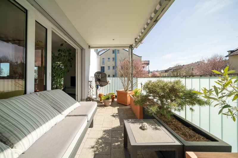 Appartement Minergie spacieux avec 31 m² d'espace de terrasse près de Zurich (1)