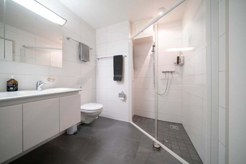 Appartement Minergie spacieux avec 31 m² d'espace de terrasse près de Zurich (6)