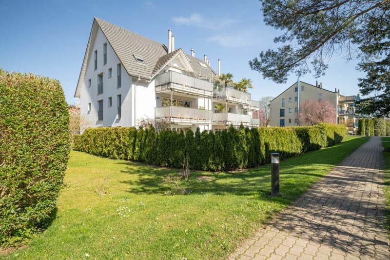 Appartement Minergie spacieux avec 31 m² d'espace de terrasse près de Zurich (2)