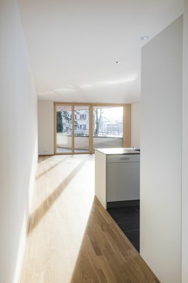 2.5 Zimmer - kompakt, stilvoll & zentral in Uster (4)