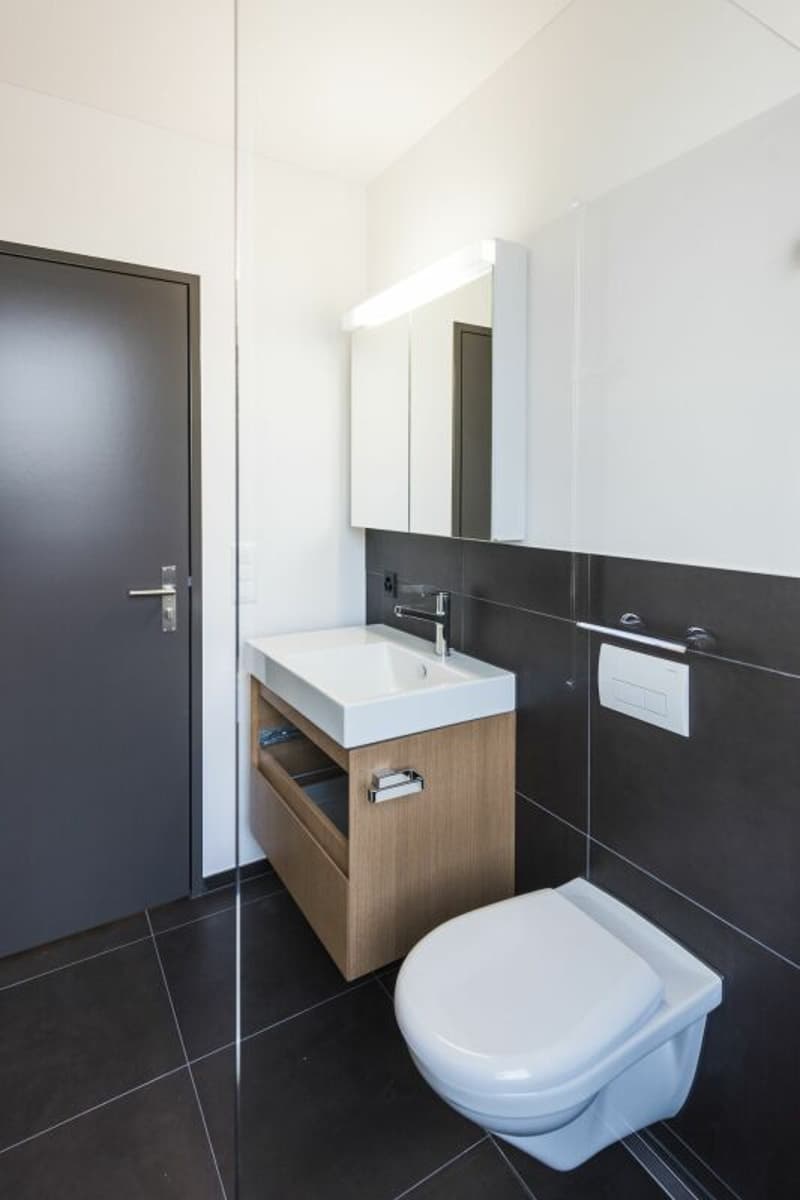 2.5 Zimmer - kompakt, stilvoll & zentral in Uster (8)