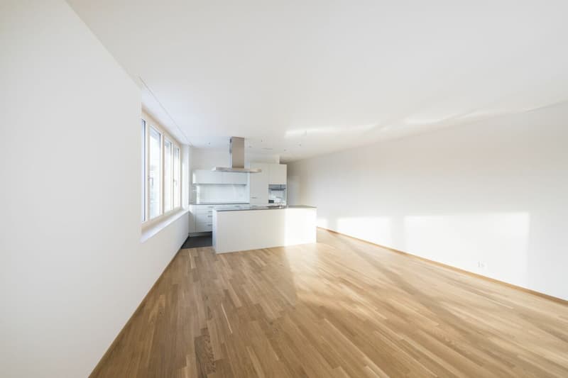 2.5 Zimmer - kompakt, stilvoll & zentral in Uster (3)